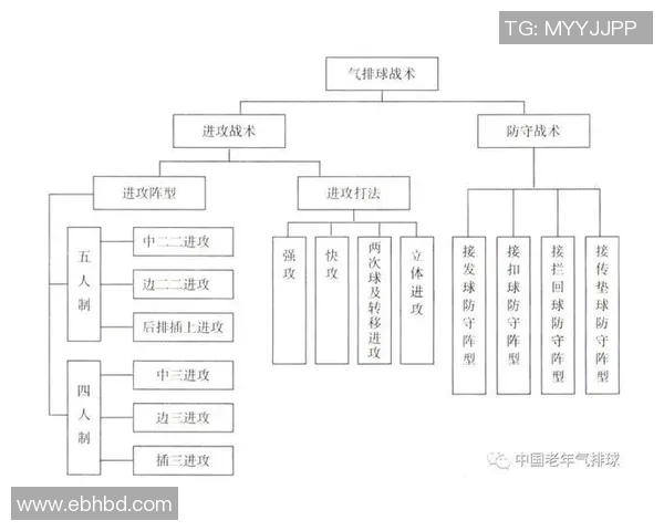 武汉排球队控制打法深度分析与战术解读探讨