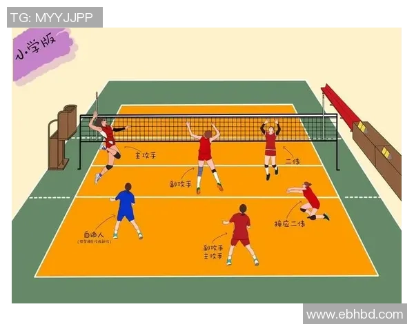 聚焦排球：探讨上海排球队员个人能力与团队协作的关系与发展