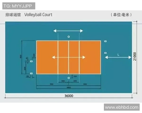 武汉排球队在精英赛中的耐力表现分析与总结